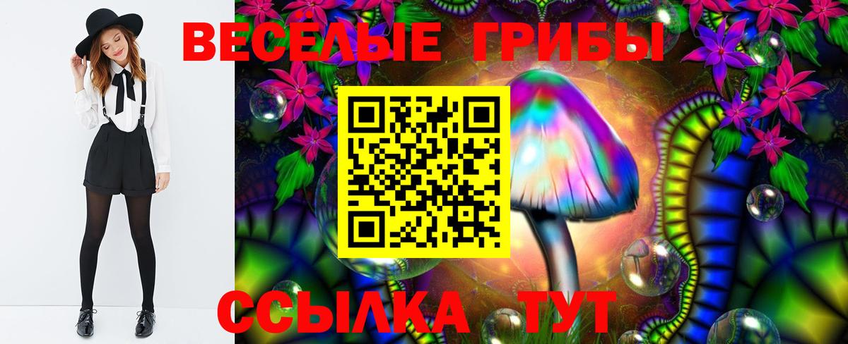 Псилоцибиновые грибы мухоморы  Вход с VPN  Куйбышев 